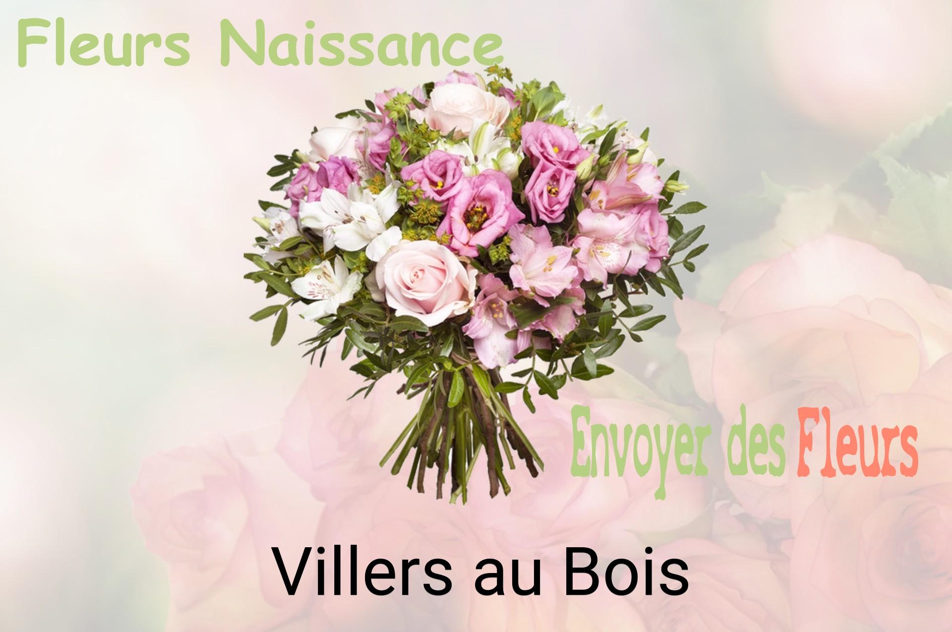 Bouquet de fleurs de naissance livré à Villers-au-Bois